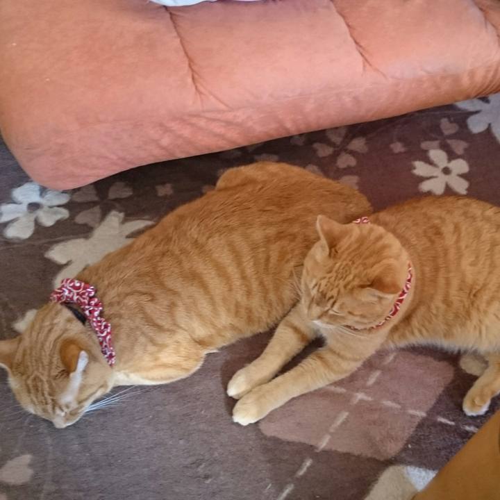 1c2d640b 91d7 4e33 a145 99b3d7ef1066