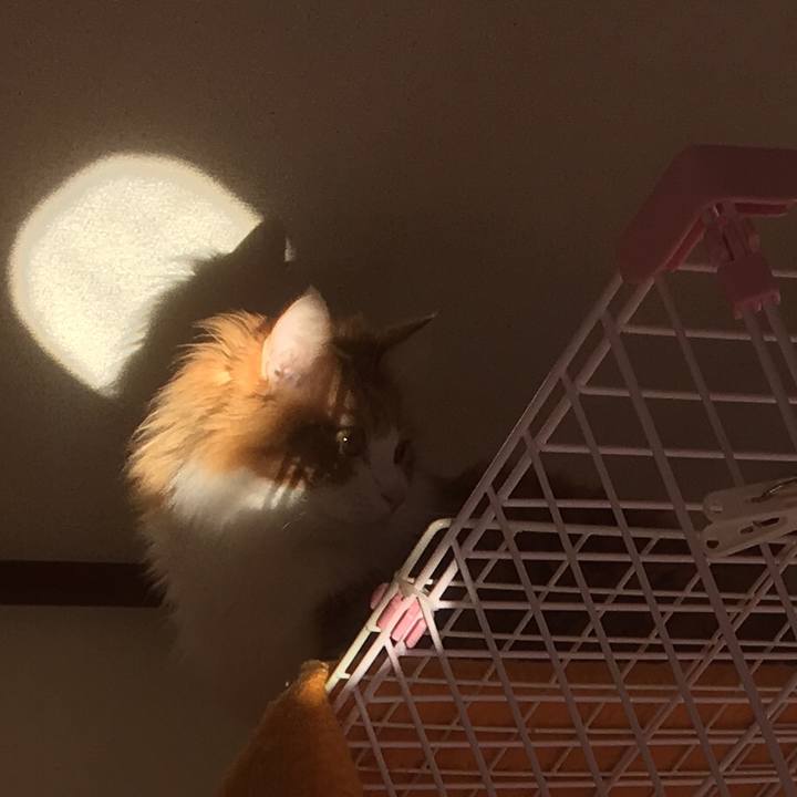 1c2d659f 846c 477d a89d 9de2bb756be8