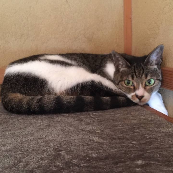 1c2dba97 73c3 440a 8400 2614b25cdaa2