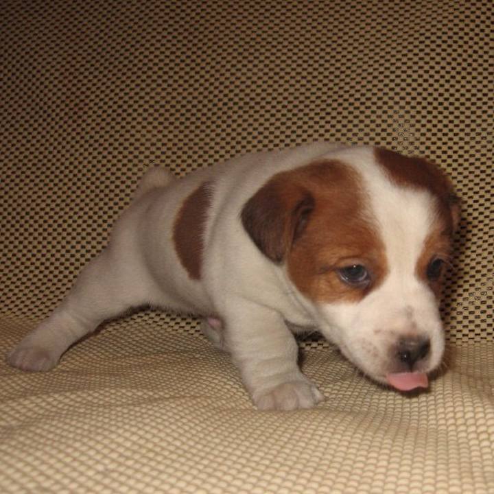 1c2de3d6 7714 4d90 a00b d739914e8c26