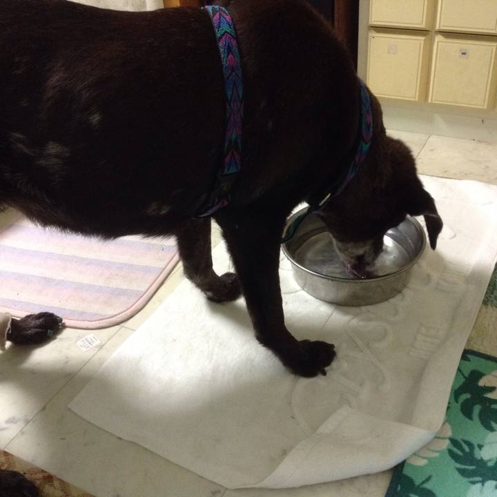 1c2e55c6 6f77 4aae 8ec6 5ab3e4dd4d1e