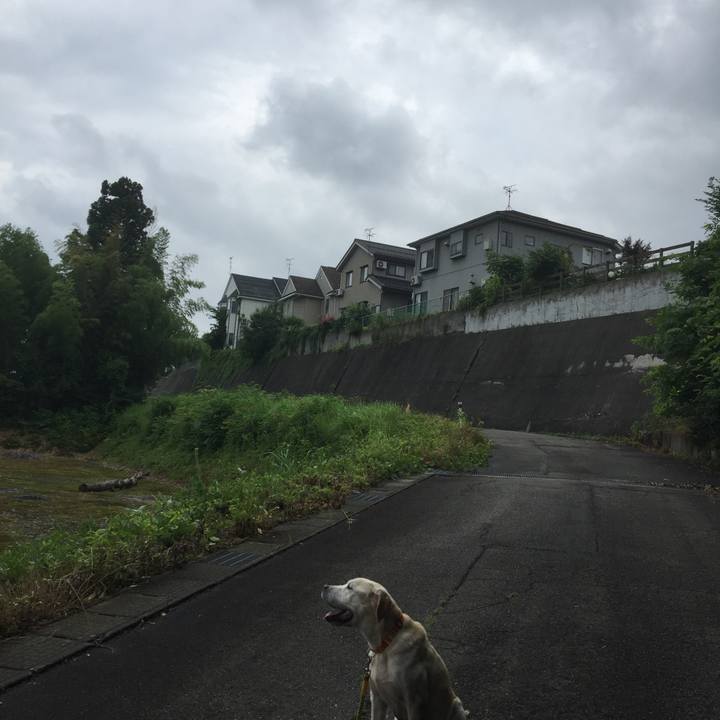 1c2e81b2 02d3 447b 8b05 ee223ae9fea3