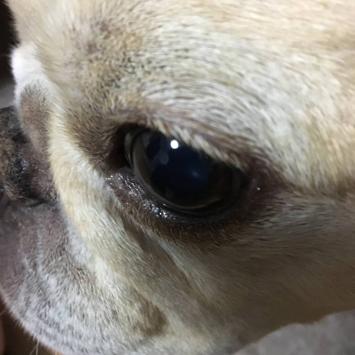 1c2eb787 f4bf 42d1 9991 bf95c860aa2a