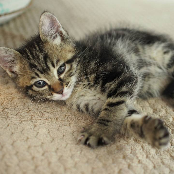 1c2ee8d4 bdc2 4b1e b02d fec4b3944d09