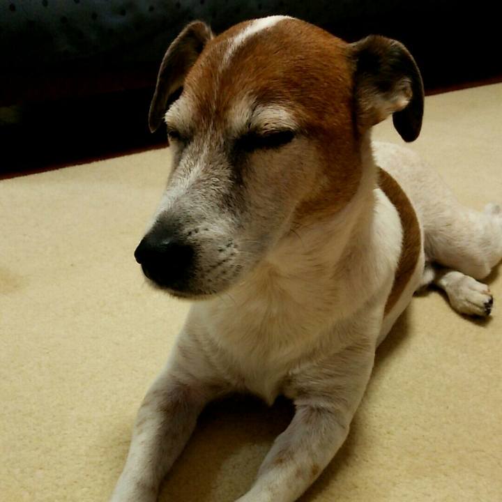 1c2fd2b5 2050 4be2 b739 71bc92150f45