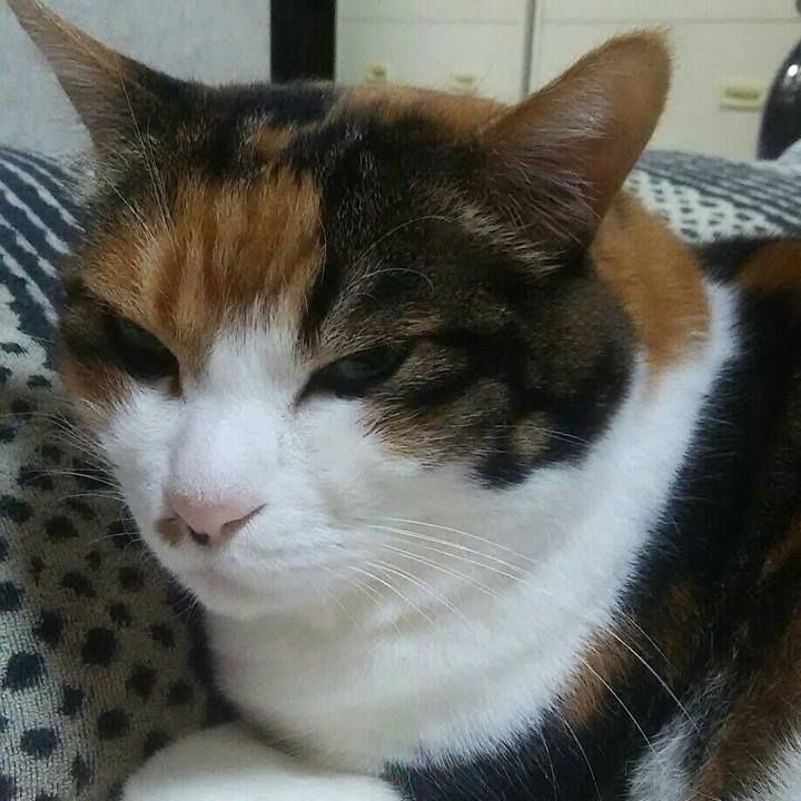 1c30c2f3 b9c6 4145 922b a2b900af510f