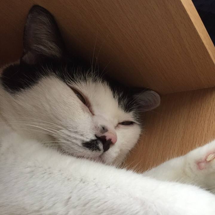 1c30ea63 a452 45f2 ab5e ca8b5767487a