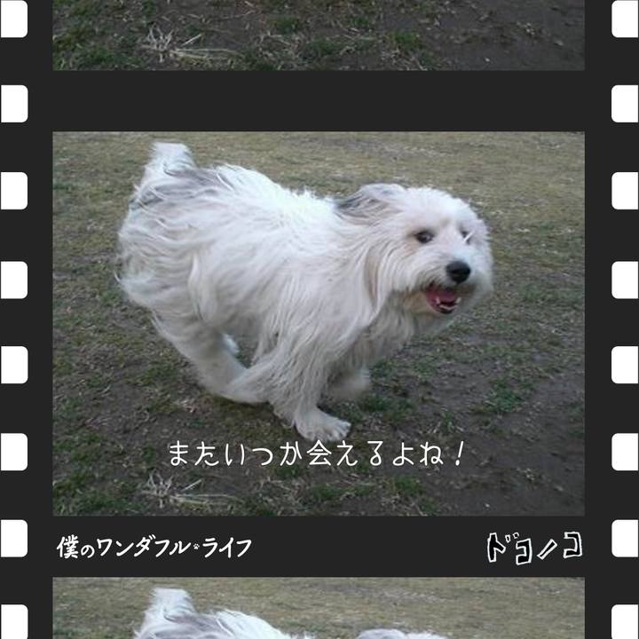 1c311799 29cb 4154 9914 2492c6e3fe08