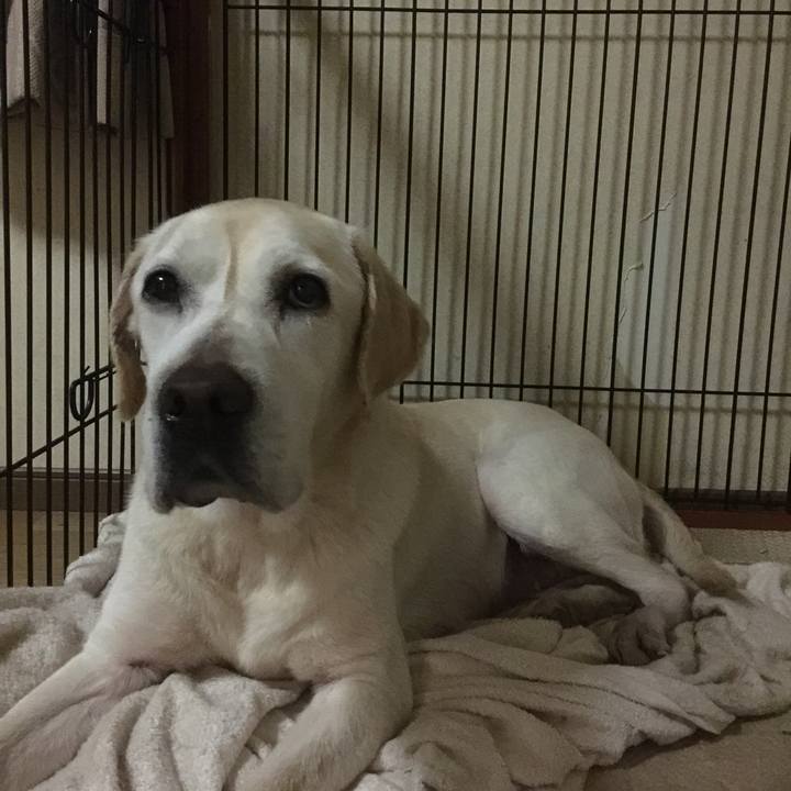 1c312061 1598 4808 8760 b51f2f23d703