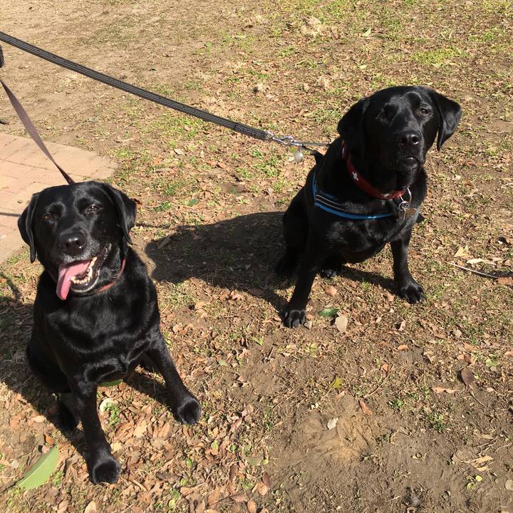 1c3142be 44b7 40fc 817f 75c5e2803e5e