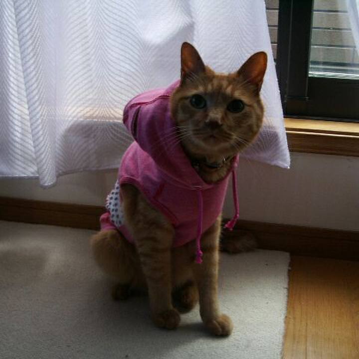 1c31aee8 8be9 442a 9885 e5643a9a9e9c