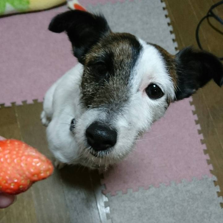 1c31f48c a5c8 4bed 9903 c4ff57b8f5fb