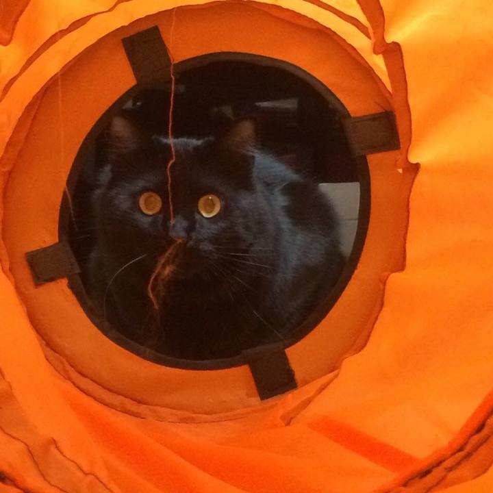 1c3221b2 4b4e 4c9c 8228 4b396040943c