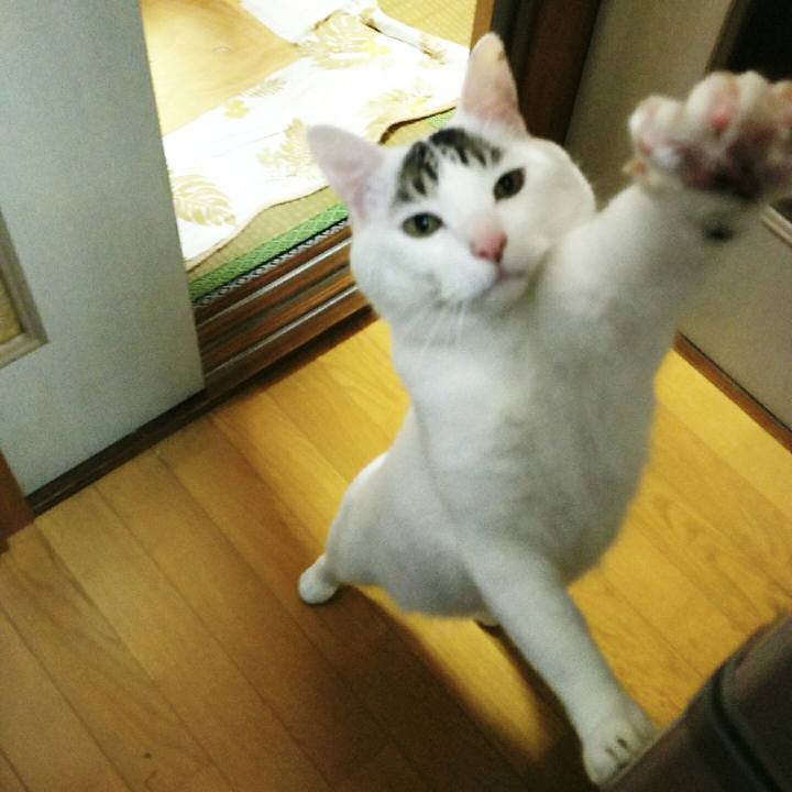 1c32b9e3 ad8d 4683 835f eb0f05176306