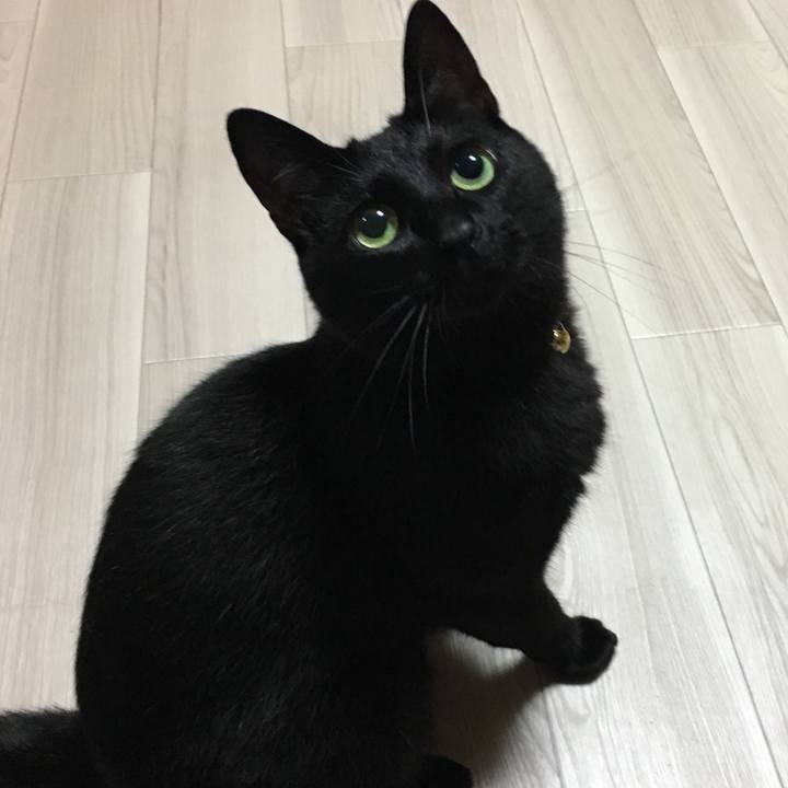 1c3301bf 4e4b 4828 9a23 dc08ed31d417