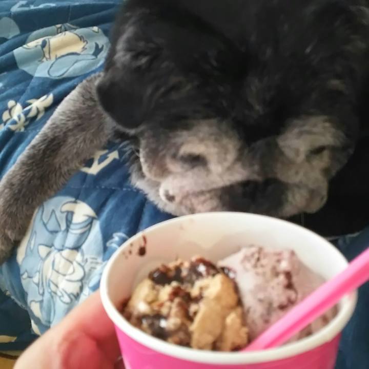 1c334f36 588b 4916 a57e 1a7ba26a808e