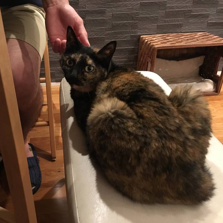 1c33d606 18e8 40e4 bfca e6fd8ad5929f