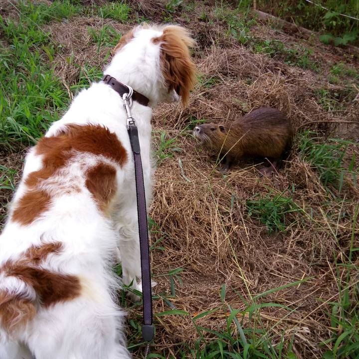 1c33eeb1 782c 40f8 b0c3 4bf0bfd7cc15