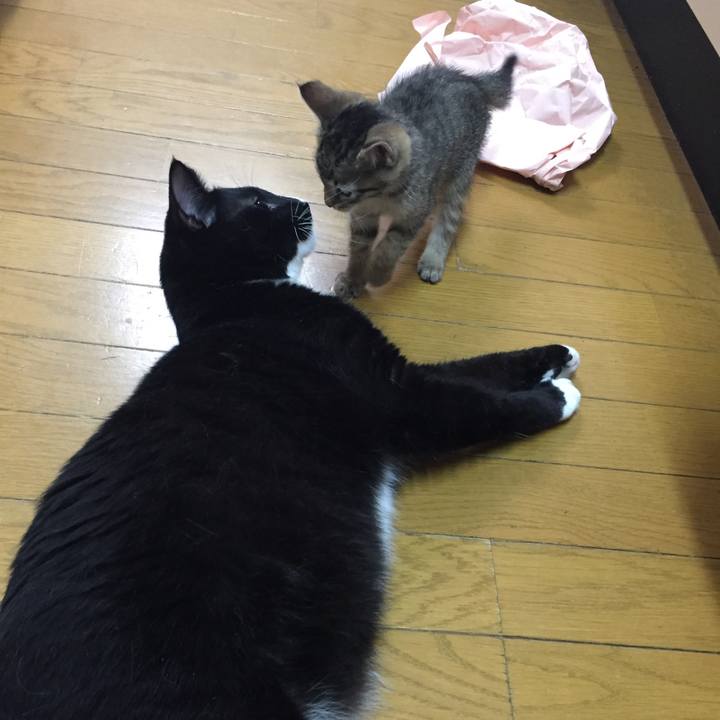 1c33f1c9 16d0 4205 929c ff5e4ffcc27b