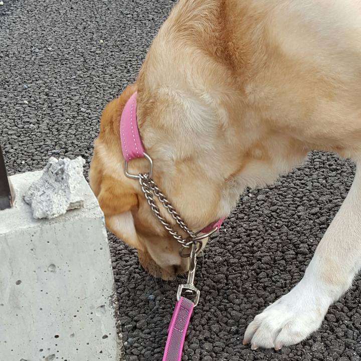 1c346e6f 0cc8 4c67 aabb 4f53347ea4a9