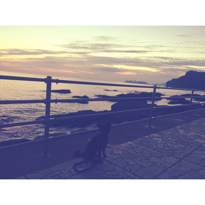 1c34ad2b 3bb0 4515 b4cb bf9c86e55e02