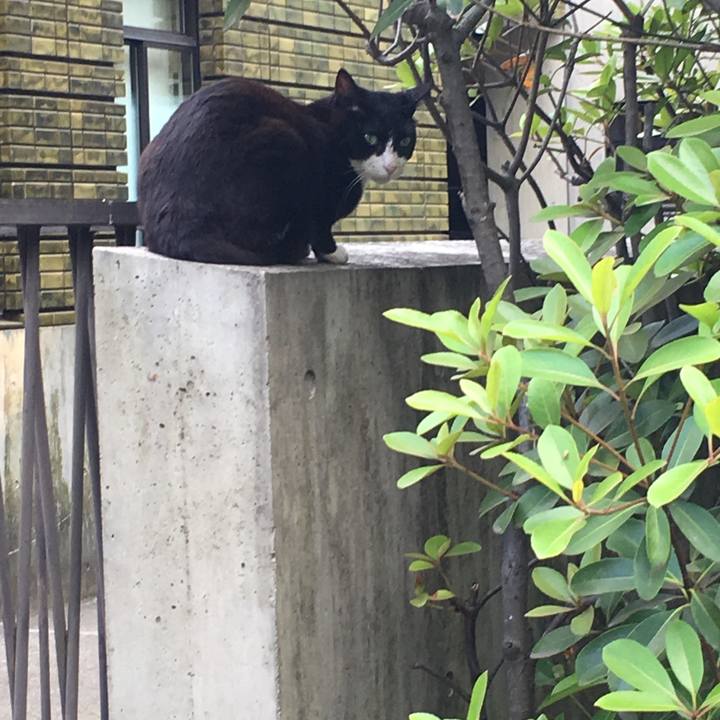 1c34c434 7443 4b33 9a76 a2a504851c1b