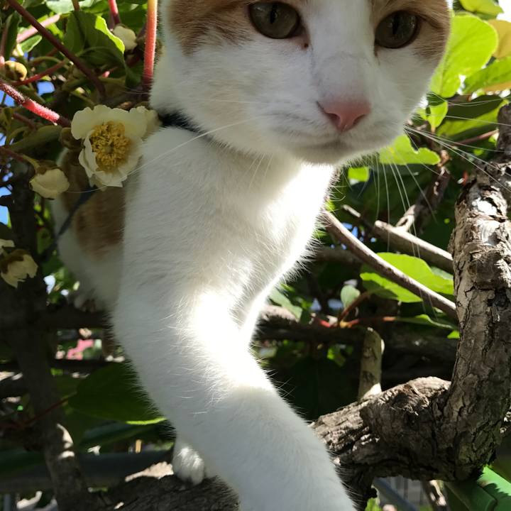 1c35619f f70a 4cc3 9fe0 3b4d5be1fc25