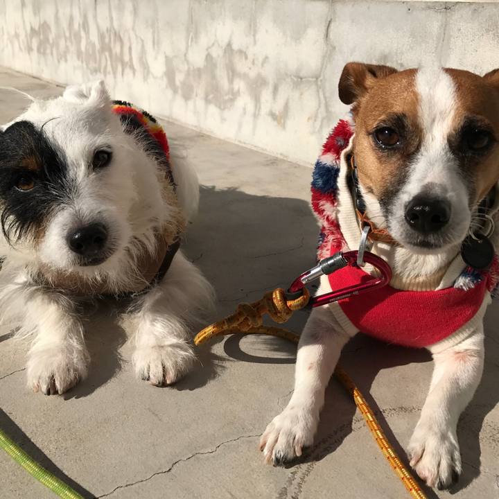 1c35c224 e49c 4591 b3fc 5c935fe0f41c