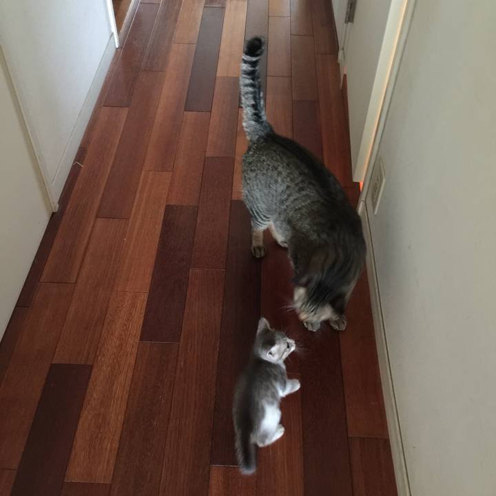 1c35e169 7179 4637 9a26 5ed8f12a5375