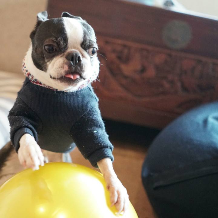 1c3654c1 b196 4831 ab50 29b0221b85b0