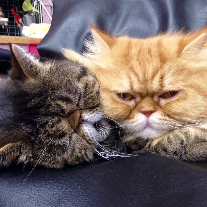 1c368090 e3c6 4b3e a036 80fac24ce75d