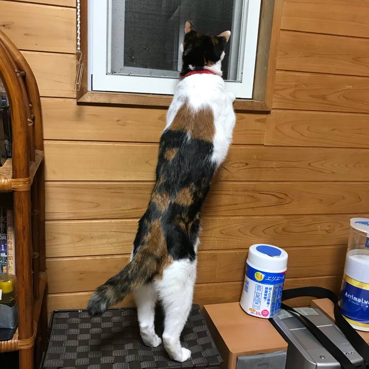 1c368b0e 0424 48f7 a4bc 23cf3e1f5533