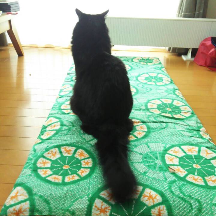 1c37a180 575c 4819 b72c 4999c840df55