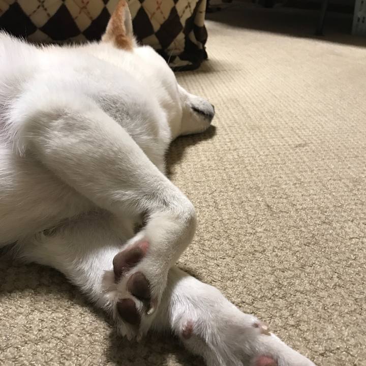 1c37d5c0 601b 4891 981c d98418b8a55e