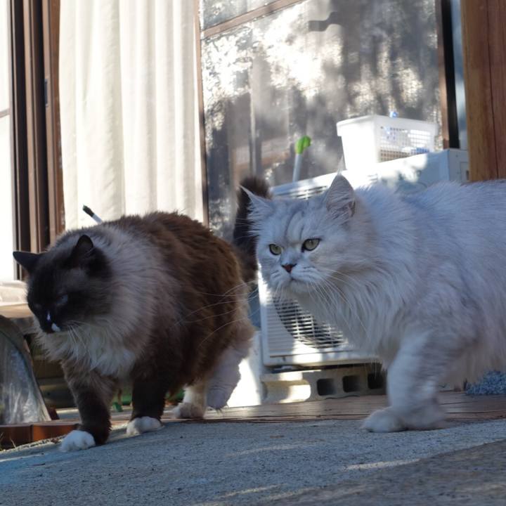 1c37f318 e130 4536 ab37 9492cf3f2bfa