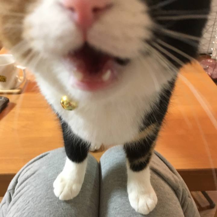 1c399bfe 72a1 4194 acd1 884126167c4c