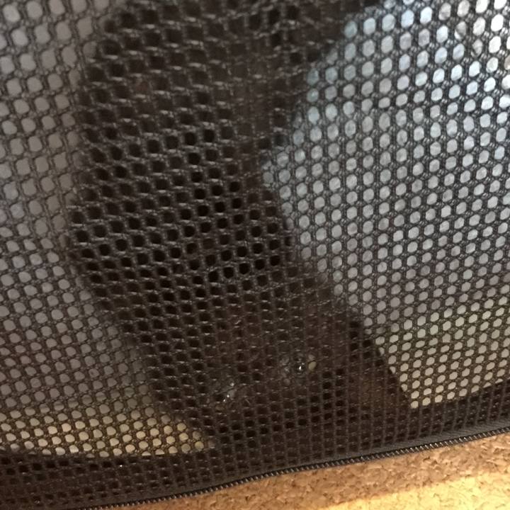 1c39f31a 59fa 4bdb 9208 d8b40595b4db