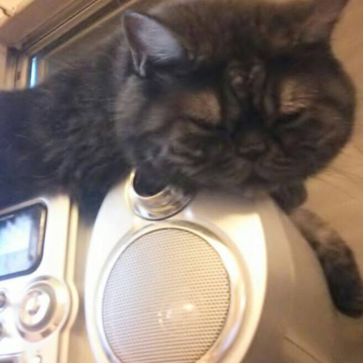 1c3ae563 bdb4 4d8d aa04 1dcf7c111244