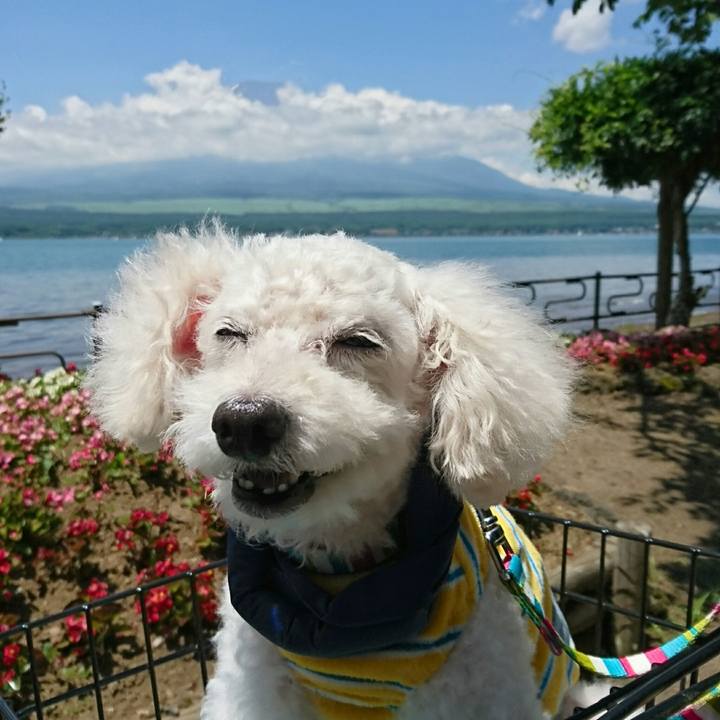 1c3b1abe 16a8 49fd ad37 fb28c3fd0bce