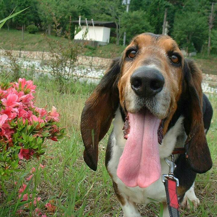 1c3ba8be 1960 4fd8 942d ee8bb8c4d2d6