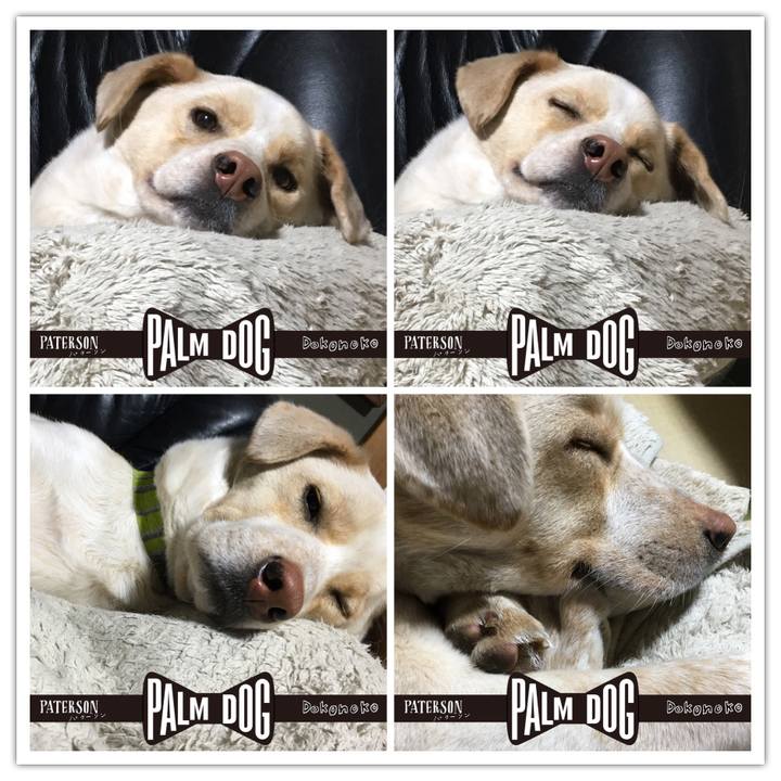 1c3be0c1 0ae8 4713 b5aa 1fd4fcd727e0