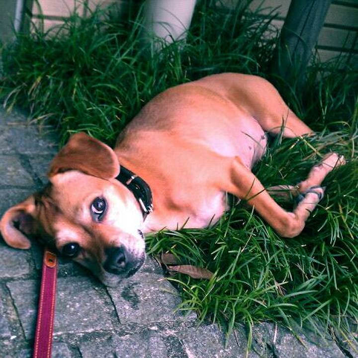 1c3c1f32 1d52 4d16 a2ee a8369ddd17fa