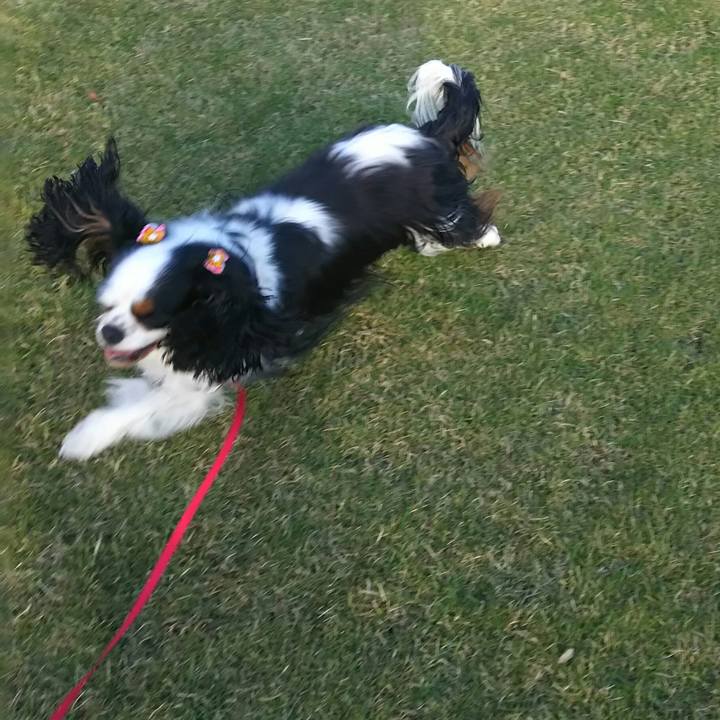 1c3c7966 9e67 401e 8e8f e5526ad6de21