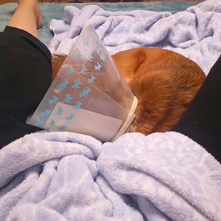 1c3cf10f 8cce 40ad 8e6e 6c246d449baa