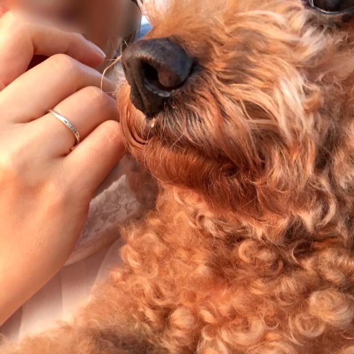 1c3d6ffa 640c 44cd 95ac b099e25ec7ec