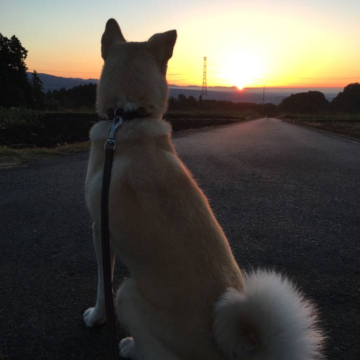 1c3dd293 c24a 4fdb 8d24 af92fd669bc8