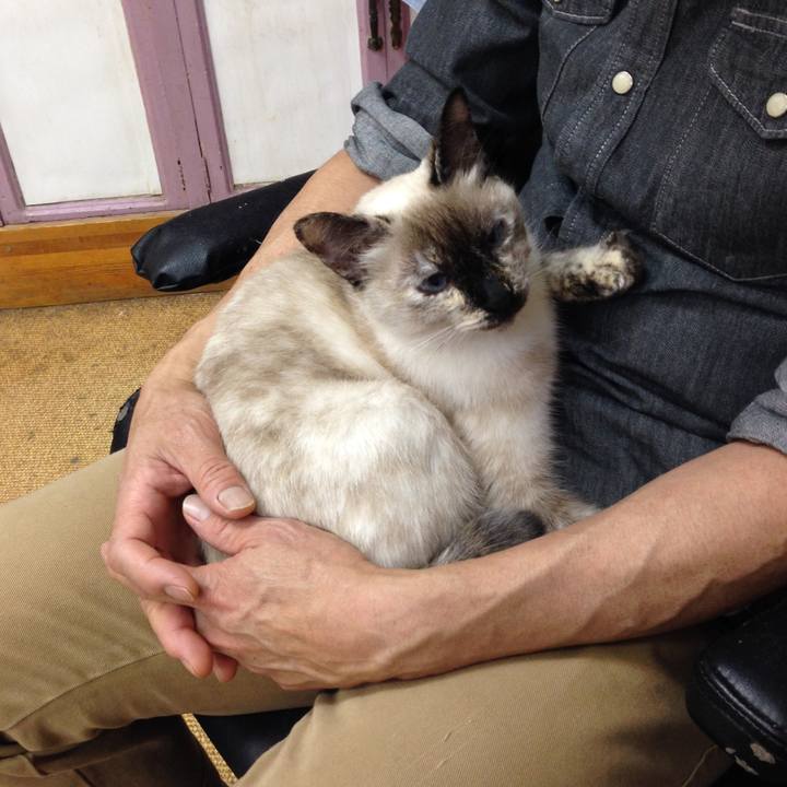 1c3dec27 6e73 4df4 afab d68b7b90802e