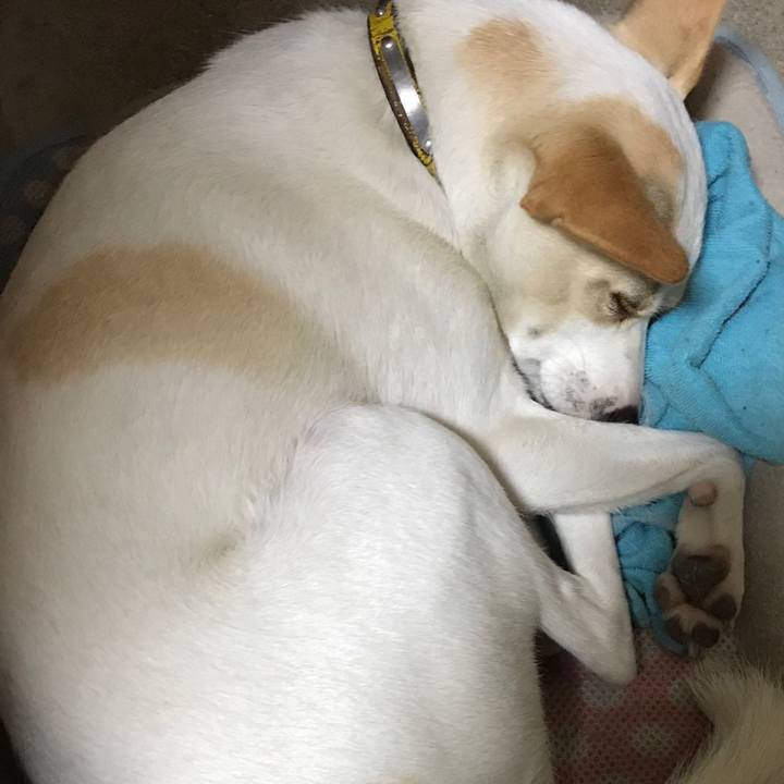 1c3df434 633c 481a 8743 c80419419aa1