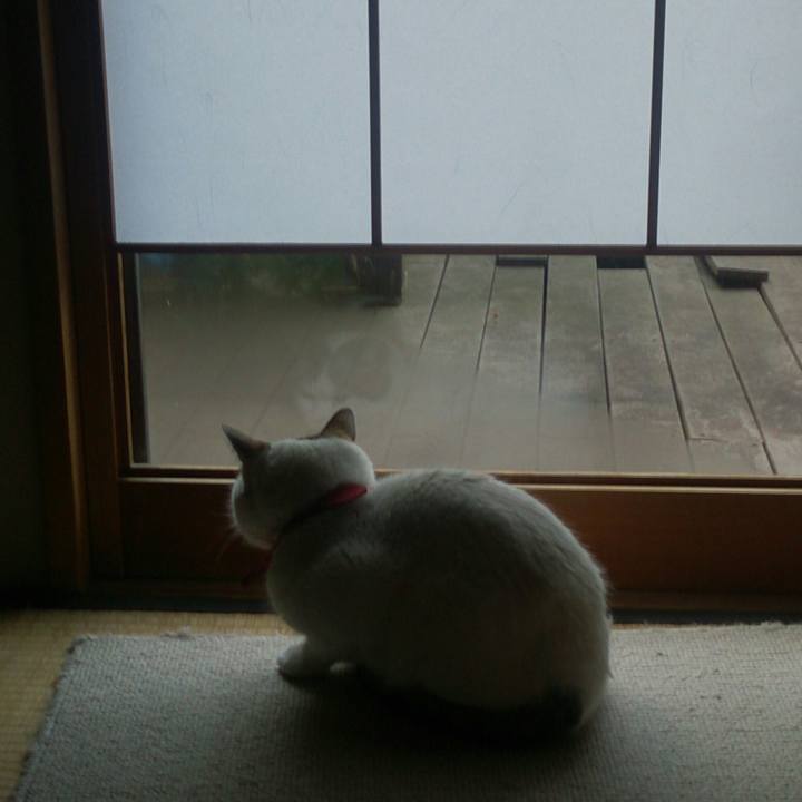 1c3e12e7 e361 4a7a b621 37fa8a6dd9ab