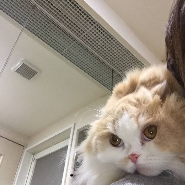 1c3e4341 5194 40d8 a297 8ee1ff2beff2